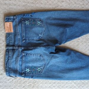Embroidered Ava Skinny Jeans